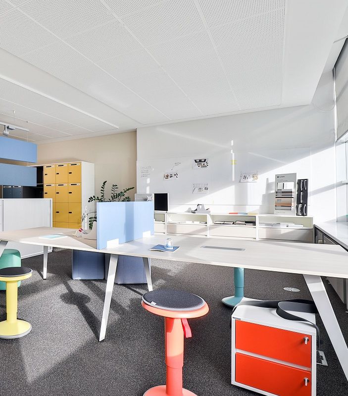 Palmberg in Ihrer Nähe